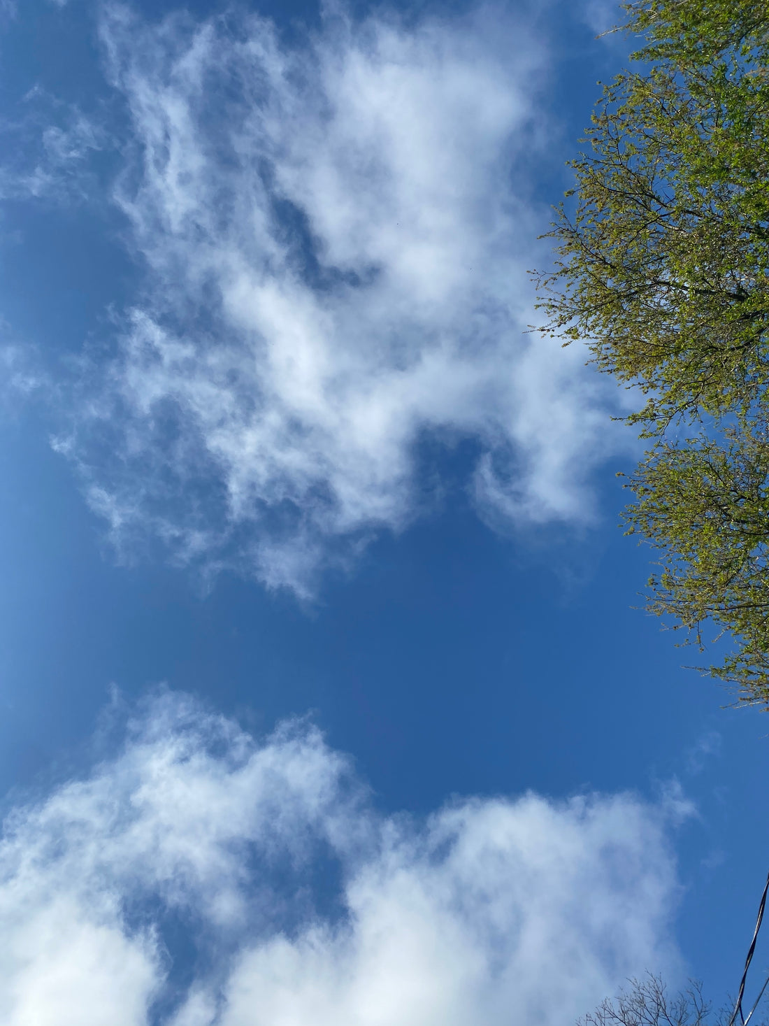 Picture of a blue sky with clouds and a bit of tree