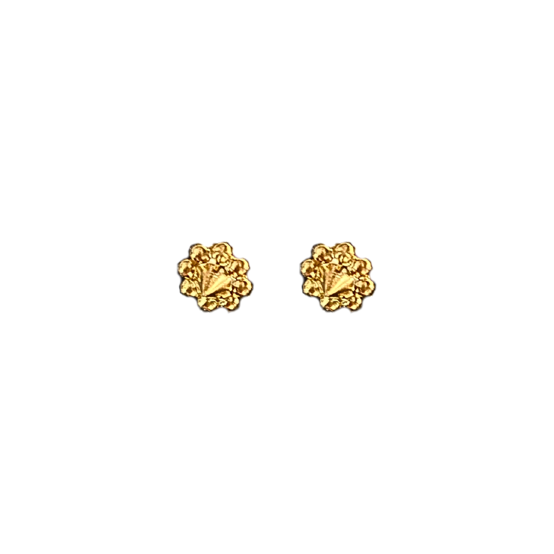 Protector Studs